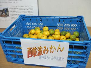 20091015-2_R.JPG