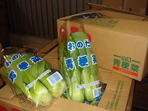 20100116-4_R.JPG