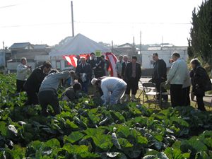 20100120-3_R.JPG