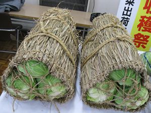 20100120-4_R.JPG