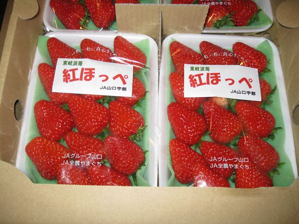 20100121-1_R.JPG