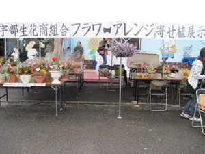 20100413-1_R.JPG