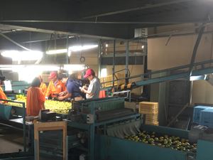 IMG_00820160924_R.JPG