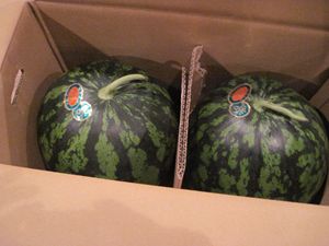 IMG_0690_R.JPG