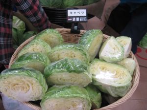 IMG_0903_R.JPG