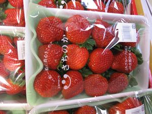 IMG_3875_R.JPG