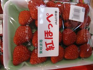 IMG_3876_R.JPG