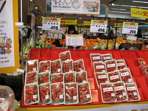 IMG_3877_R.JPG